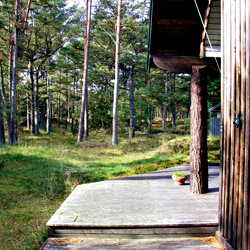 Skogen