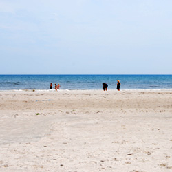 Strandhav