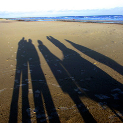 Strandskugga